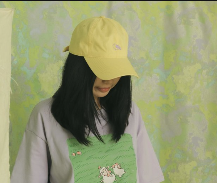 無憂無慮天上飛鳥刺繡棒球帽｜馬太福音6:26・安然交托｜100%純棉可調節・男女同款